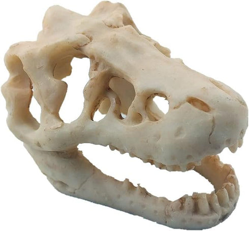 Mini Dinosaur Skull Aquarium Ornament | Resin Tank Decoration for Betta Fish | Small Reptile Hideout with Holes