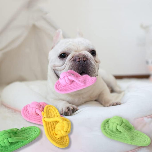 Dog Chew Rope Toy 2Pack, Funny Decoy Toy, Natural Cotton Rope Slipper Interactive Pet Chewing Toys