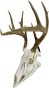 Heavy-Duty Alloy Steel European Skull Mount Hanger, 3 Pack (Black) for Whitetail Deer, Feral Hog, Bear & Exotic Skulls