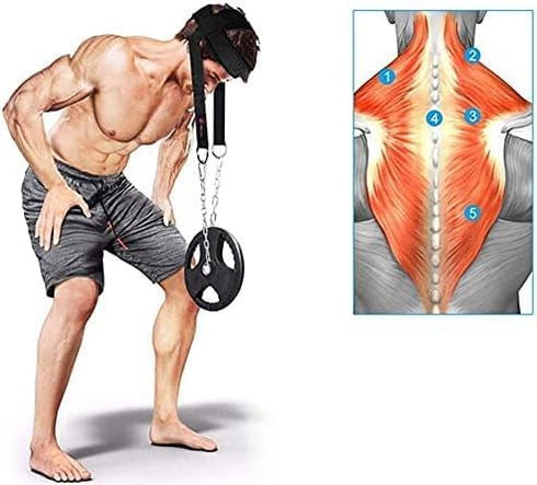 Fitness Neck Head Harness for Neck Training Weight Lifting with Adjustable Steel Chain and Strap