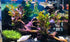 Ceramic Shelters 2 Pcs, Fish Tank Accessories, Swim Holes Aquatic Cave for Freshwater and Saltwater Fish