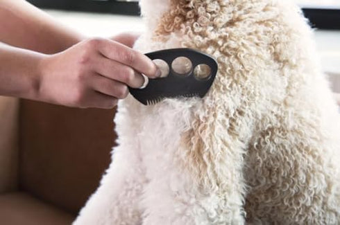 The Fur Hero, Grooming Comb with Embedded Razor Blade for Tangles, Mats, and Eye Gunk, Easy Bonding Experience, Black