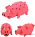 Squeaky Pig Dog Toys, 2 Pack Grunting Pig Toy That Oinks for Small Medium Large Dogs, Grunting Sound Play Dog Toy
