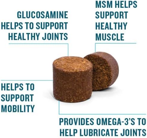 VetIQ Glucosamine Hip & Joint Supplement for Dogs, 60 Soft Chews, Dog Joint Support with MSM and Krill