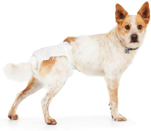 Count 12 So Phresh by Petco Leak Guard Disposable Pet Diapers Large/X-Large