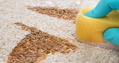 Capture Pet Stain & Odor Neutralizer, 32oz Portable Spray Bottle for Carpet, Wood, Leather, Upholstery, and More