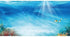 AWERT Undersea Theme Aquarium Background, Colorful Coral Tropical Fish, 24x12 inches Vinyl