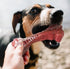 Dog Puppy Bone Toy for Aggressive Chewers, Beef Flavor, Durable Rubber for Small/Medium Breeds