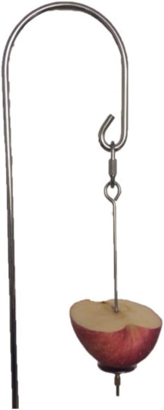 Honbay 2pcs Parrot Bird Rabbit Hutch Cage Skewer - Fruit Vegetable Holder Foraging Toy (S)