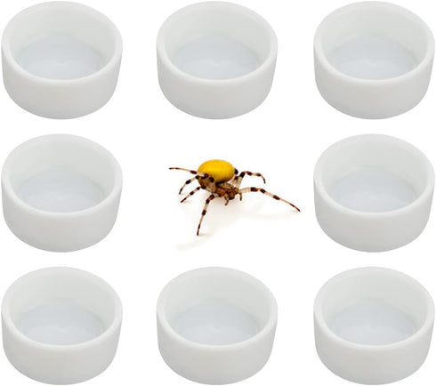 8 Pcs Mini Dish Water Bowl for Tarantula Spider, Scorpion, Cricket, Snail, Manti, Millipede, Tiny Bugs (White)
