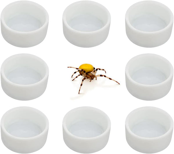 8 Pcs Mini Dish Water Bowl for Tarantula Spider, Scorpion, Cricket, Snail, Manti, Millipede, Tiny Bugs (White)