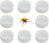 8 Pcs Mini Dish Water Bowl for Tarantula Spider, Scorpion, Cricket, Snail, Manti, Millipede, Tiny Bugs (White)