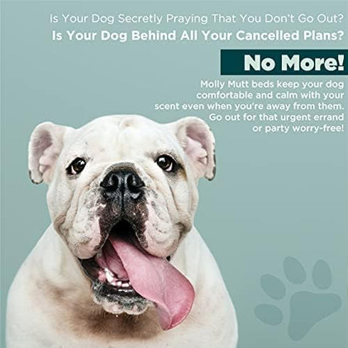 Molly Mutt Water-Resistant Dog Bed Liner, Easy to Clean, Polyester, Small, Gray, 22"x27"x4.75"