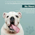 Molly Mutt Water-Resistant Dog Bed Liner, Easy to Clean, Polyester, Small, Gray, 22"x27"x4.75"