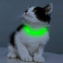 Candofly Light Up Dog Collar - LED Rechargeable Dog Collar, Glowing Puppy Collar for Night Walking, X-Small, Neon Green