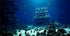36X24IN Natural Underwater Aquarium Background, 3D Fish Reef Decoration Background with 8 EVA Double-Sided Tape