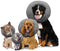 Arlee Pet Products 58412028: Poly Filled Adjustable E-Collar, Medium