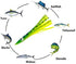 6" 6 Tuna Clone Lures, Pcs Green/Yellow for Saltwater Trolling, Ideal for Tuna, Wahoo, Mahi & Offshore Game Fish