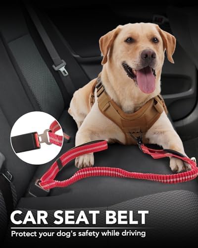 Joytale Tactical Dog Leash, Heavy Duty, 4-6FT Shock Absorbing Bungee with 2 Padded Handles, No Pull with Quick Release