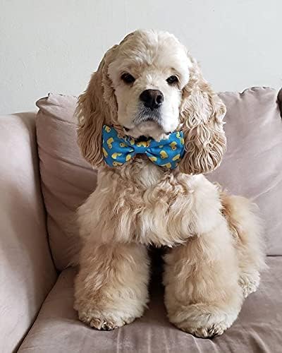 Huxley & Kent Lucky Ducky Bow Tie for Pets | Small Easter Spring Velcro Collar Attachment | Fun Bow Ties for Dogs & Cats