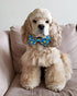 Huxley & Kent Lucky Ducky Bow Tie for Pets | Small Easter Spring Velcro Collar Attachment | Fun Bow Ties for Dogs & Cats