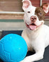 Jolly Pets Large Soccer Ball - Floating-Bouncing Dog Toy, 8 Inch Diameter, Ocean Blue