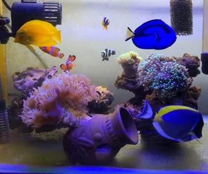 Ceramic Shelters 2 Pcs, Fish Tank Accessories, Swim Holes Aquatic Cave for Freshwater and Saltwater Fish