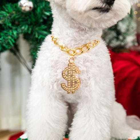 Cute Adjustable Pet Gold Chain with Dollar Pendant, Lightweight Cuban Link Necklace for Dogs and Cats, Bling Jewelry
