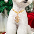 Cute Adjustable Pet Gold Chain with Dollar Pendant, Lightweight Cuban Link Necklace for Dogs and Cats, Bling Jewelry
