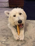 EcoKind Monster Himalayan Yak Cheese Dog Chew, XL Chews, Rawhide Free, Healthy Treats for Aggressive Chewers (Pack of 3)