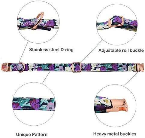 Durable Adjustable Metal Buckle Dog Collar, Soft for Small Medium Large Dogs