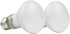 100W Basking Spot Heat Lamp Bulbs, 110V Reptile Mercury Vapor Bulbs for Reptile and Amphibian Use (2 Pack)