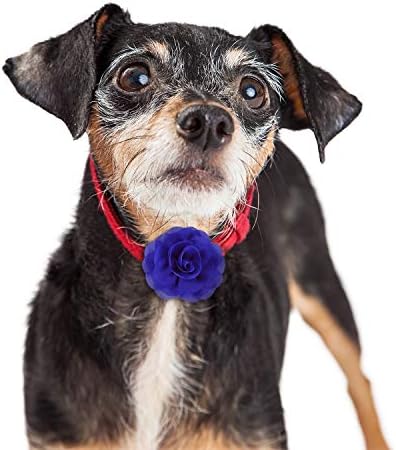 WILLBOND 8 Pieces Dog Flowers Collar Pet Charms, 8 cm Cat Pet Bow Tie for Puppy Dog Collar Accessories