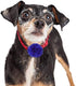 WILLBOND 8 Pieces Dog Flowers Collar Pet Charms, 8 cm Cat Pet Bow Tie for Puppy Dog Collar Accessories