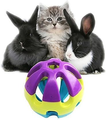 Hypeety Pet Parrot Toy - Colorful Plastic Birds Ball with Bell for Budgie, Cockatoo, Rabbit, Cat (1PC Color Random)