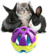 Hypeety Pet Parrot Toy - Colorful Plastic Birds Ball with Bell for Budgie, Cockatoo, Rabbit, Cat (1PC Color Random)