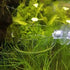 Aquarium Glass Feeder, Shrimp Feeding Dish, Round Clear Fish Tank Food Tray Container with Suction Cup, 65mm