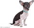 Cute Fancy Skull Diamond Crystal Rhinestone Leather Small Pet Dog Cat Collar Puppy (Blue, S)