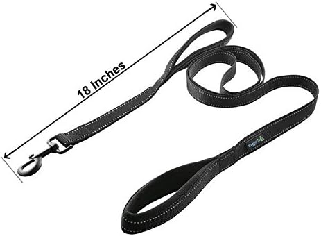 Wagtime Club Soft & Thick Dual Handle 6FT Dog Leash, Premium Nylon for Medium, Large, or XLarge Dogs (Reflective Black)