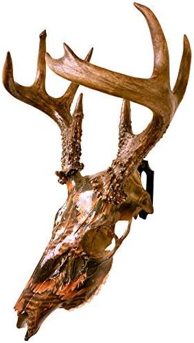 Skull Mount Hanger for Hanging Deer, Mule, Antelope, Coyote, and Small Game Animals (1)