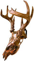 Skull Mount Hanger for Hanging Deer, Mule, Antelope, Coyote, and Small Game Animals (1)