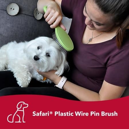 Coastal Pet Safari Wire Pin Brush with Plastic Handle - General Dog Grooming Brush for Dogs with Short and Long Hair - No-Slip Handle - Compatible with Safari Grooming Tools - 9.25" x 2.5"