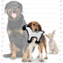 TUFFY World's Tuffest Soft Dog Toy; Barnyard Sheep; Squeakers; Multiple Layers; Made Durable, Strong & Tough;