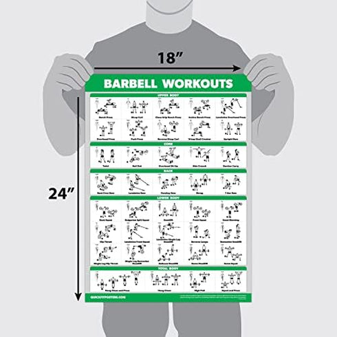 Palace Learning QUICKFIT Barbell Workout Exercise Poster Laminated 18in x 24in for Kids Room