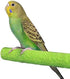 Bird Cage Perch Parrot Sand-Surface Stand 2-Pack, Grinding Wood Stick Platform for Macaw, Budgies