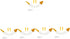 Mipcase 5sets Glass Pet Feeder Nipple for Newborn Puppies Kittens Kitten Feeding