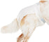 Count 12 So Phresh by Petco Leak Guard Disposable Pet Diapers Large/X-Large