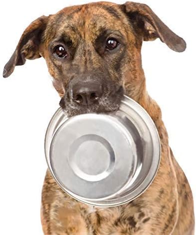 Greendale - 2 Pack Large Stainless Steel Dog Bowls (6.75 Cups) - Perfect for Food and Water