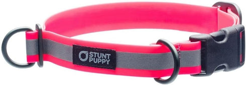 Go Dog Glo Dry Dog Collar in Pink