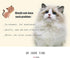 CHUKCHI Heart Bling Cat Collar with Safety Belt and Bell 8-11 Inches (Pink)